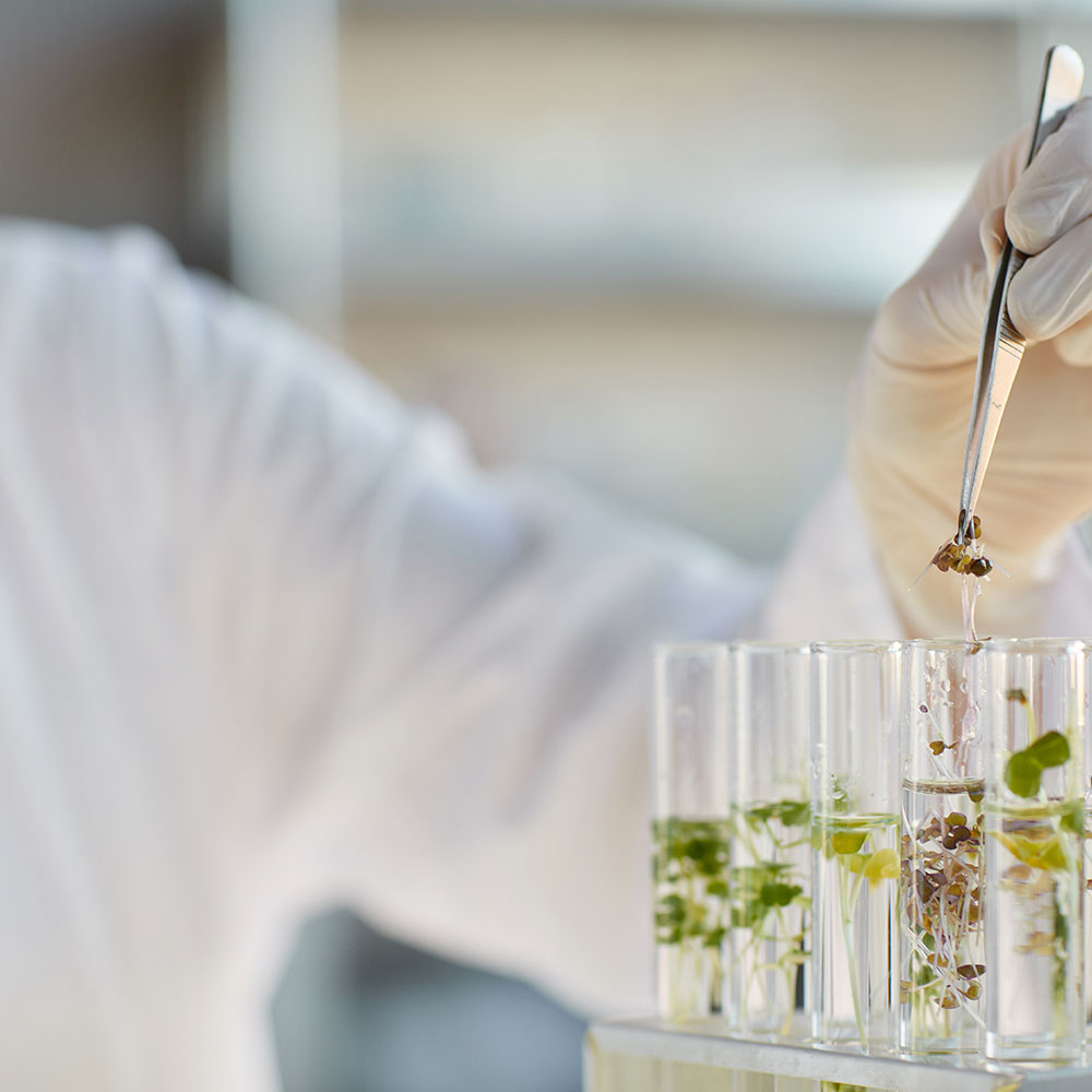 biotecnologia